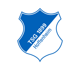 Hoffenheim crest